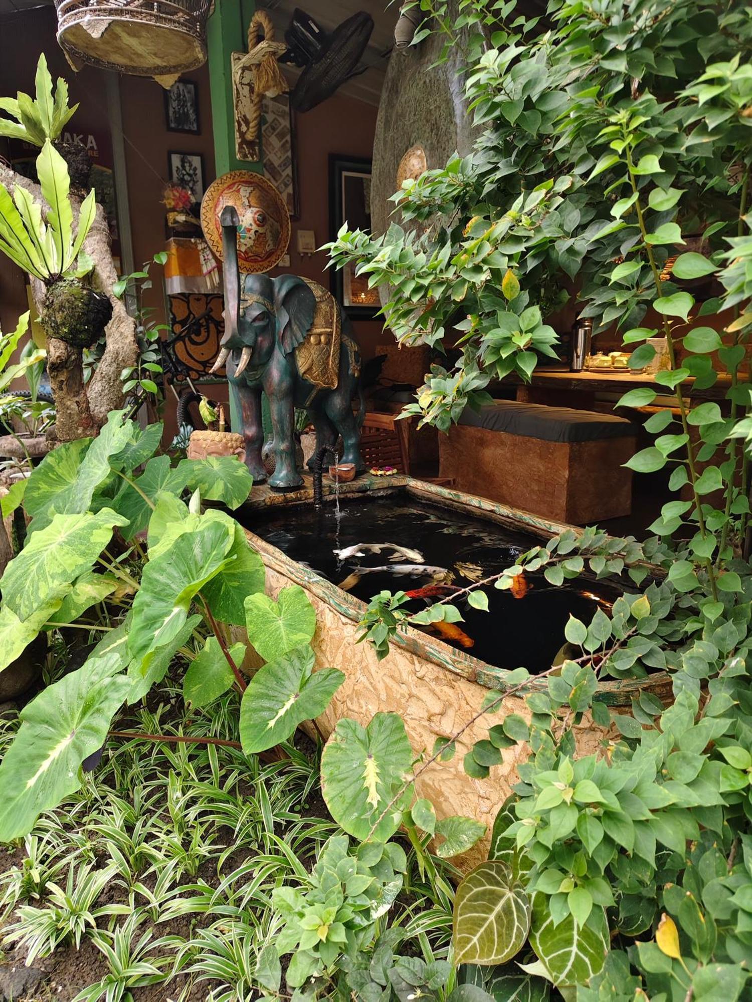 Hostel Vin Vin Ubud Exteriér fotografie